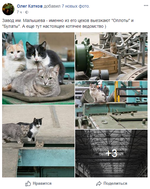 &quot;Котячее ведомство&quot;: в сети показали &quot;бригадиров&quot; завода им. Малышева, выпускающего танки (фото)